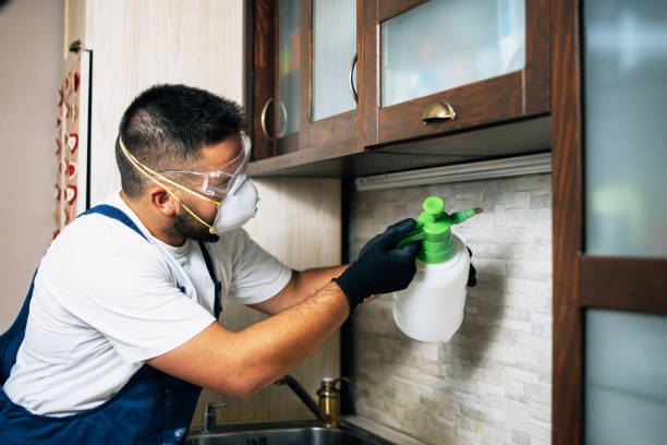 Best Pest Removal Services  in El Cerrito, CA